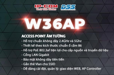 Tính năng đặc trưng của W36AP